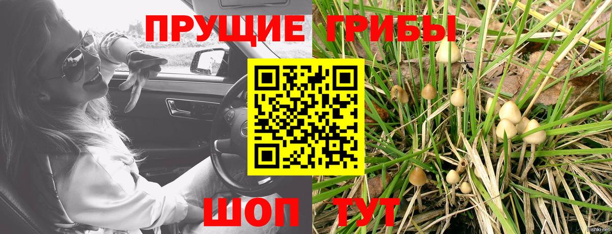 Псилоцибиновые грибы мухоморы  цена   Армавир  Вход с VPN 