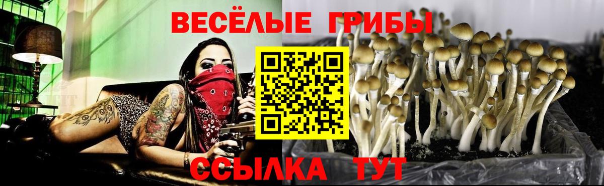 Псилоцибиновые грибы ЛСД Армавир